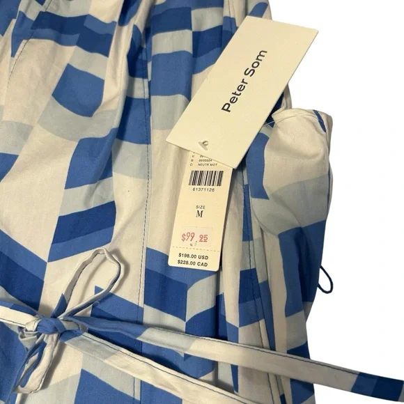 Anthropologie Blue and White Maxi Dress - Picture 6 of 12